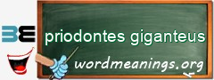 WordMeaning blackboard for priodontes giganteus